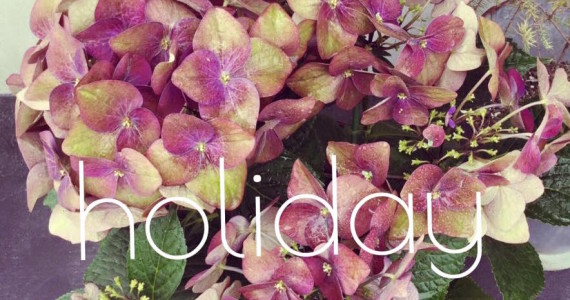 11329960_1452215345078831_6564426248956077716_n-2