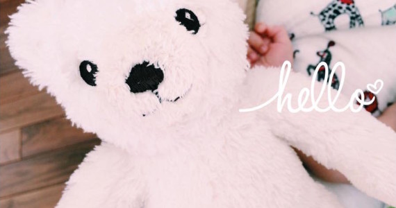 11990388_1487804098186622_3529572347917143130_n